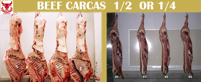 BEEF MEAT CARCAS 1/2 or 1/4