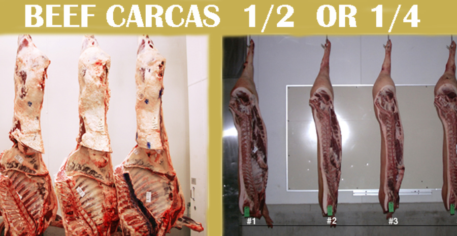 BEEF MEAT CARCAS 1/2 or 1/4